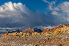 Fresh snowfall on reefs in Red Cliffs National Conservation Area near St. George, Utah, USA Art Print